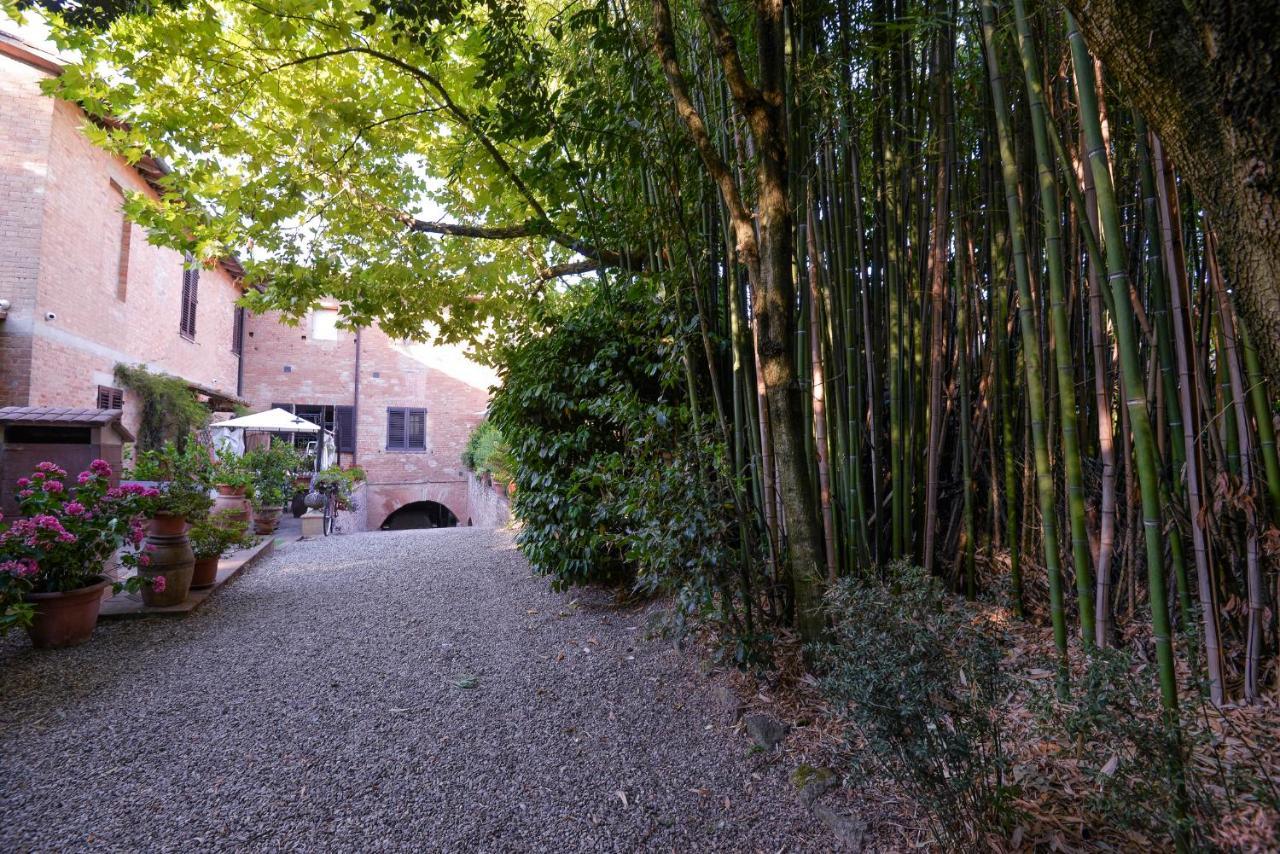 Loft In Antico Mulino Lägenhet Isola d'Arbia Exteriör bild